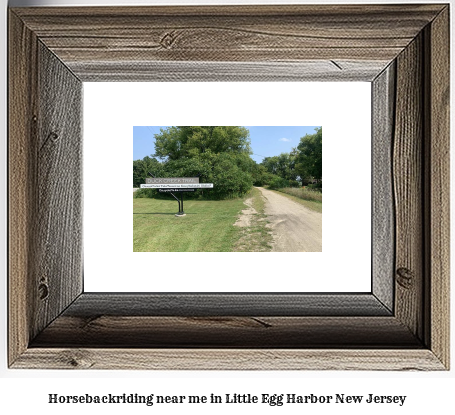 horseback riding near me in Little Egg Harbor, New Jersey